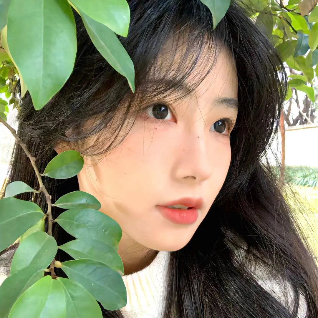 早安公主
